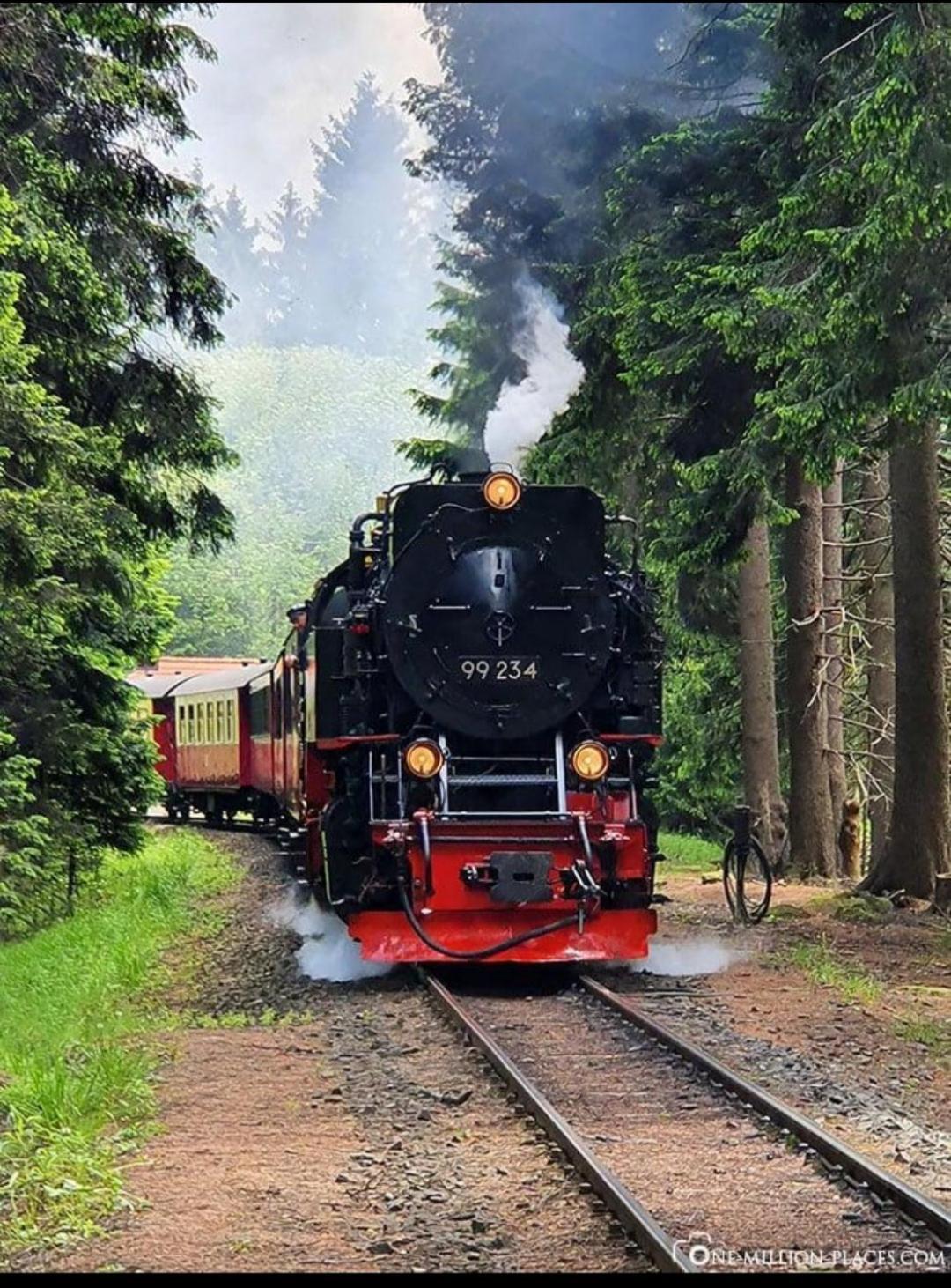 Ferienwohnung Holzmann Wernigerode Eksteriør bilde